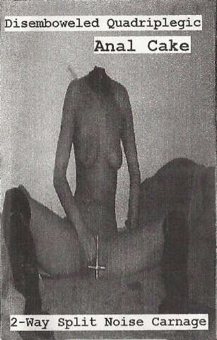 Anal Cake : 2-Way Split Noise Carnage